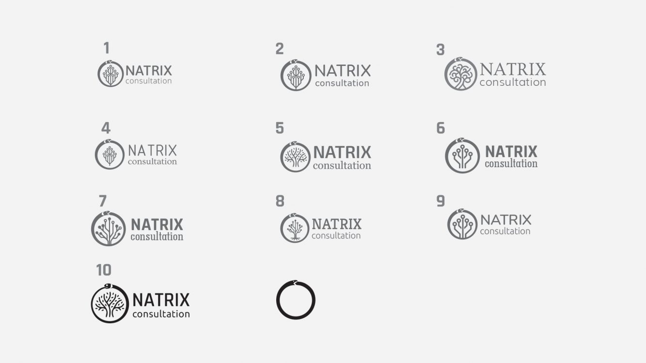 natrix-1etap
