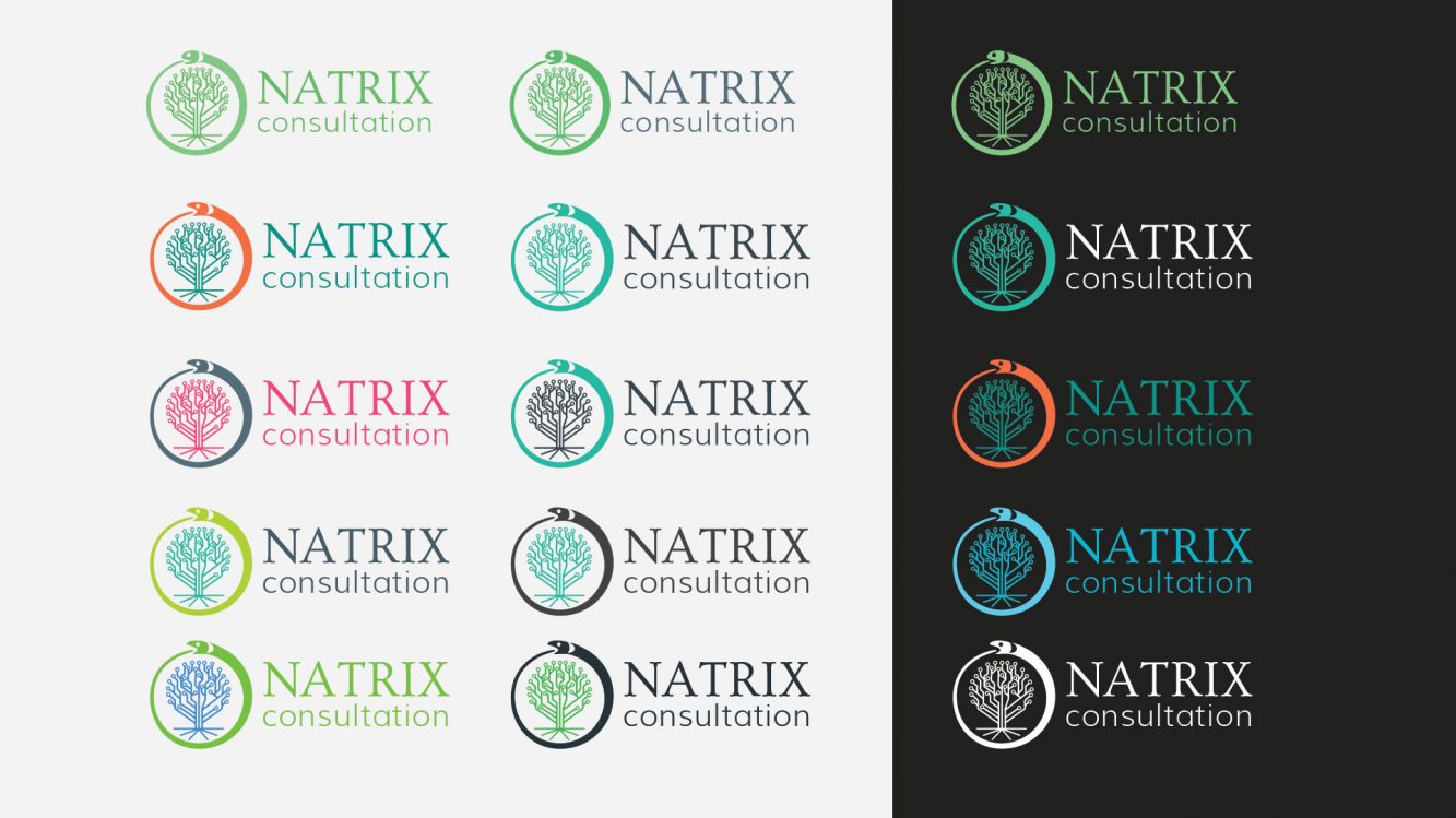 natrix-3etap