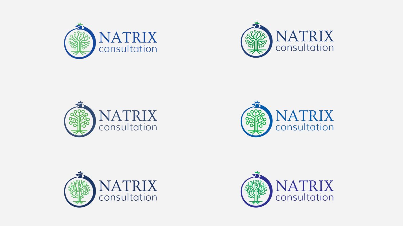 natrix-4etap